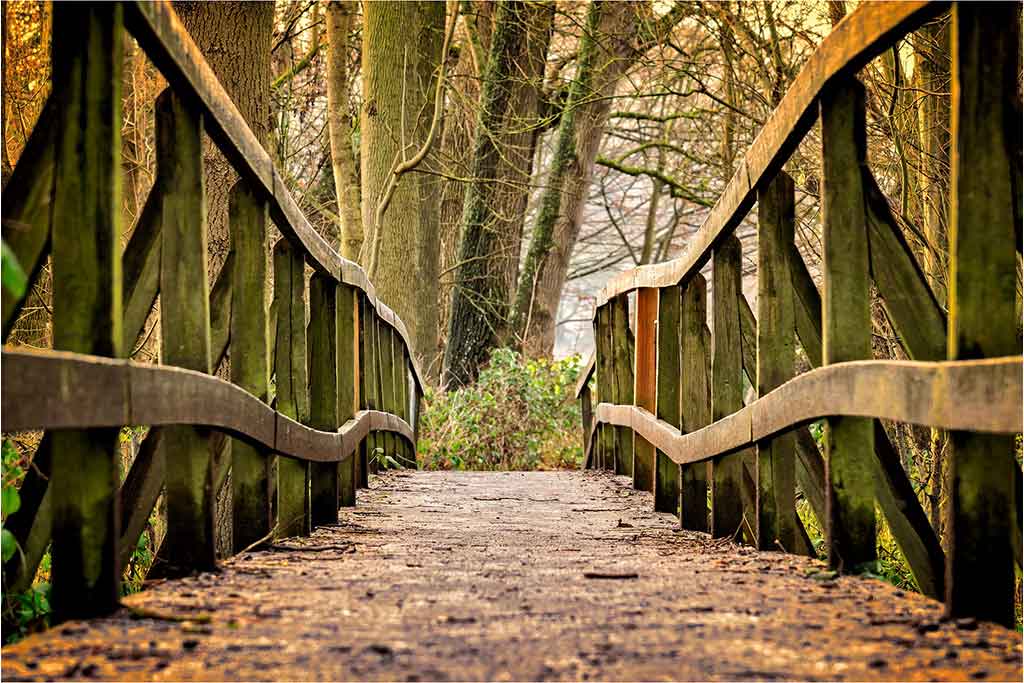 Image d'illustration d'un pont en bois pour renvoyer sur la page contact du menuisier ébéniste